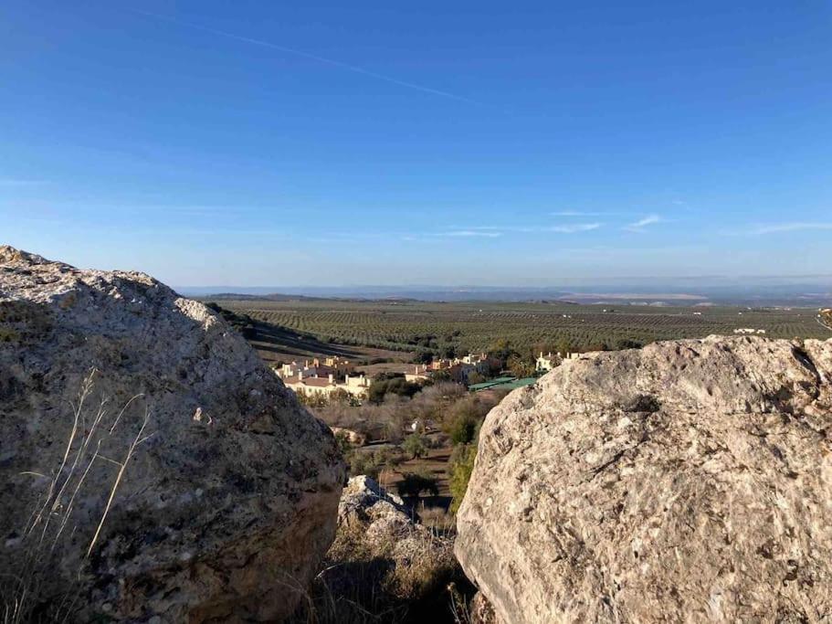 Casa Picual, Mancha Real, Jaen Villa Dış mekan fotoğraf