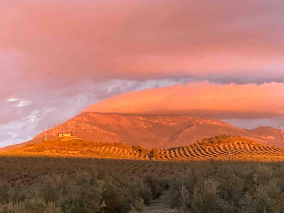 Casa Picual, Mancha Real, Jaen Villa Dış mekan fotoğraf